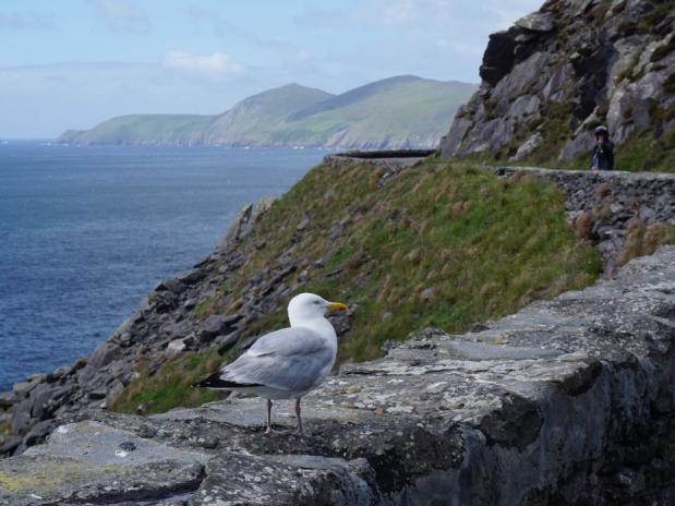 motorcycletours Ireland - Slea drive on the Dingle Peninsula.